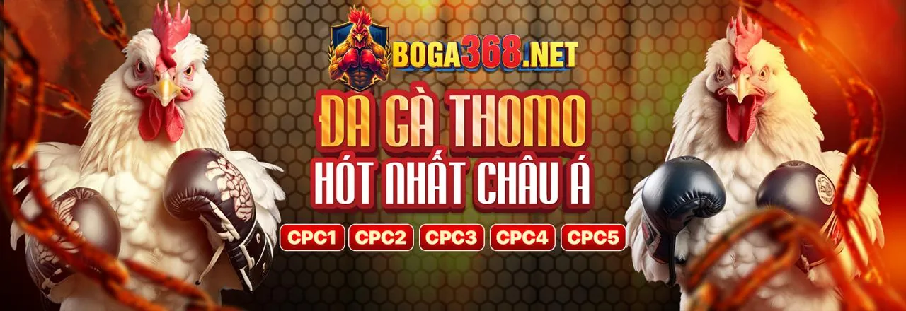 Tải ứng dụng TNC365 qua mã QR